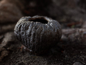 Natural Ash Glazed Planter/Sculpture - Breathable Wood Fired Pottery with Drainage Hole