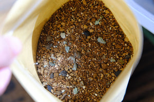 Pipphy's Premium Succulent Soil Gritty Mix